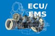 Engine Management System/ ECU