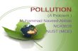 Pollution its types, causes and effects by naveed.m