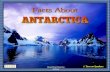 Facts About Antarctica