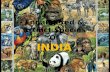 Endangered & extinct species of animals found in India