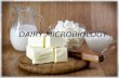Dairy microbiology and Dairy Products