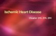 293. ischemic heart disease