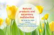 Natural products and secondary metabolites: : Alkaloid Manik