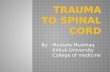 Trauma to spinal cord