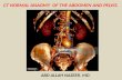 Presentation1.pptx, ct normal anatomy of the abdomen and pelvis.