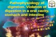 Pathophysiology of digestion. Violation of digestion in a stomach and intestine