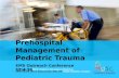 Prehospital Care of the Pediatric Trauma Patient