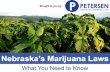 Nebraska's Marijuana Laws: What You Need To Know
