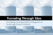 Janell Sims: Tunneling Through Silos