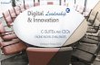Digital & Innovation Leadership Study - Kienbaum France 2015