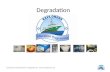 Degradation Explorers Education Programme: .