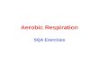 Aerobic Respiration SQA Exercises. Aerobic Respiration – what you should know Respiration is the breakdown of f______ to release its e_______ Living cells.