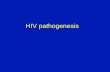 HIV pathogenesis The course of HIV infection 1. Acute Phase 2. Intermediate (asymptomatic) phase -viral load stabilizes at a “set point”. 3. Late (symptomatic)