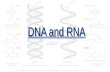 DNA and RNA  – DNA image.