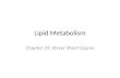 Lipid Metabolism Chapter 29, Stryer Short Course.