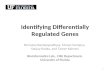 1 Identifying Differentially Regulated Genes Nirmalya Bandyopadhyay, Manas Somaiya, Sanjay Ranka, and Tamer Kahveci Bioinformatics Lab., CISE Department,