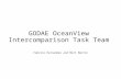 GODAE OceanView Intercomparison Task Team Fabrice Hernandez and Matt Martin.