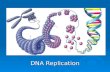 DNA Replication. Before We Begin – Let’s Review  Take out your DNA Structure Worksheet Let’s grade it!!! Let’s grade it!!! 1. What is the full name of.