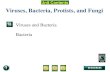 Unit Overview – pages 472-473 Viruses, Bacteria, Protists, and Fungi Viruses and Bacteria Bacteria.