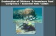 Destruction of Offshore & Nearshore Reef Complexes – Essential Fish Habitat.