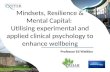 Mindsets, Resilience & Mental Capital: Utilising experimental and applied clinical psychology to enhance wellbeing Professor Ed Watkins.