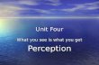Unit Four What you see is what you get Perception.