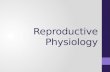 Reproductive Physiology. What will be covered: Gametogenesis How gametes form Sexual differentiation Pituitary-gonadal axis Female reproductive physiology.