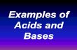 Examples of Acids and Bases