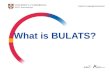 What is BULATS?. 2 Aims  to introduce BULATS and its key features  to explain BULATS levels  to highlight quality assurance procedures and recognition.