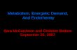 Metabolism, Energetic Demand, And Endothermy Sara McCutcheon and Christine Bedore September 25, 2007.