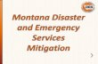 -Pre Disaster Mitigation (PDM) -Hazard Mitigation Grant (HMGP) -Flood Mitigation Assistance (FMA)/ Repetitive Flood Claims (RFC)/ Severe Repetitive Loss.