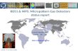 RD51 & WP5: Micropattern Gas Detectors status report Leszek Ropelewski CERN – PH - DT CERN, 4 th of June 2009 RD51 Collaboration Site.