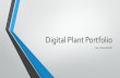Digital Plant Portfolio By. Drew Smith. Setaria pumila Yellow Foxtail.