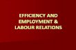 EFFICIENCY AND EMPLOYMENT & LABOUR RELATIONS. INTRODUCTION INTRODUCTION WHAT ARE LABOUR RELATIONS? WHAT ARE LABOUR UNIONS OR TRADE UNIONS? WHAT DO THEY.