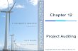 Copyright 2012 John Wiley & Sons, Inc. Chapter 12 Project Auditing.