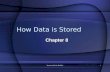 Instructor: Pavlos Pavlikas1 How Data is Stored Chapter 8.