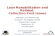 Loan Rehabilitation and Related Collection Cost Issues