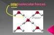 Between.  Intra- › strong forces that hold the atoms in a molecule together  e.g. – it takes 464 kJ/mol to break the H-O bonds within a water molecule.