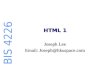 BIS 4226 HTML 1 Joseph Lee