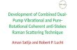 Development of Combined Dual- Pump Vibrational and Pure- Rotational Coherent anti-Stokes Raman Scattering Technique Aman Satija and Robert P. Lucht.