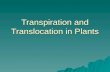 Transpiration and Translocation in Plants
