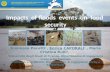 Impacts of floods events on food security