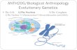 ANTH205/Biological Anthropology Evolutionary Genetics The Cell: 1) The Nucleus2) The Cytoplasm 1) The Nucleus =>Chromosomes=>Deoxyribonucleic acid (DNA)