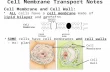 Cell Membrane Transport Notes Cell Membrane and Cell Wall: ALL cells have a cell membrane made of lipid bilayer and proteins Cell Membrane lipid bilayer.