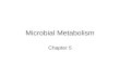 Microbial Metabolism Chapter 5.
