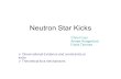Neutron Star Kicks Chris Fryer Aimee Hungerford Frank Timmes  Observational Evidence and constraints on kicks  Theoretical kick mechanisms.