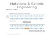 Mutations & Genetic Engineering. Mutation A change in the nucleotide sequence of the genome of an organism.