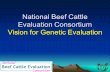 National Beef Cattle Evaluation Consortium Vision for Genetic Evaluation.