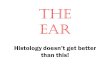 The Ear Histology doesn’t get better than this!. Anatomy of the Ear.