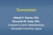 Ahmed Y. Hatata, MSc Rowayda M. Amin, MSc Assistant Lecturer Ophthalmology Alexandria University, Egypt Toxocariasis.
